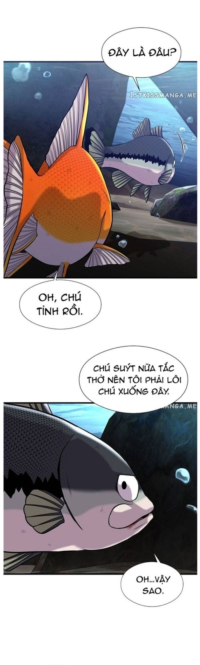 Hoá Thân Thành Cá Chương 46 Ảnh 33