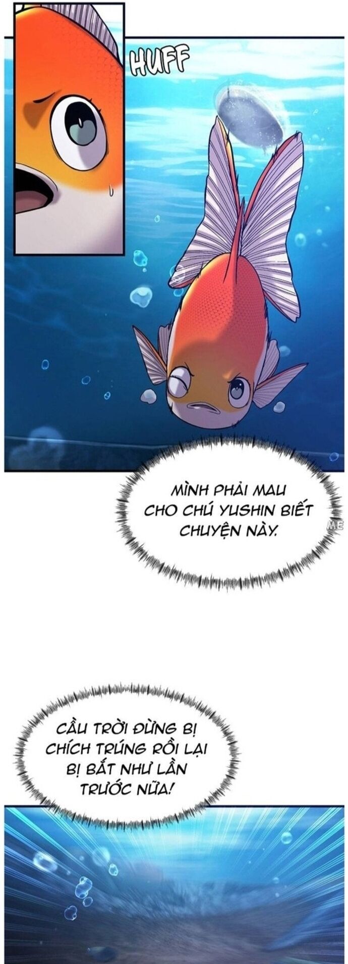 Hoá Thân Thành Cá Chương 49 Ảnh 16