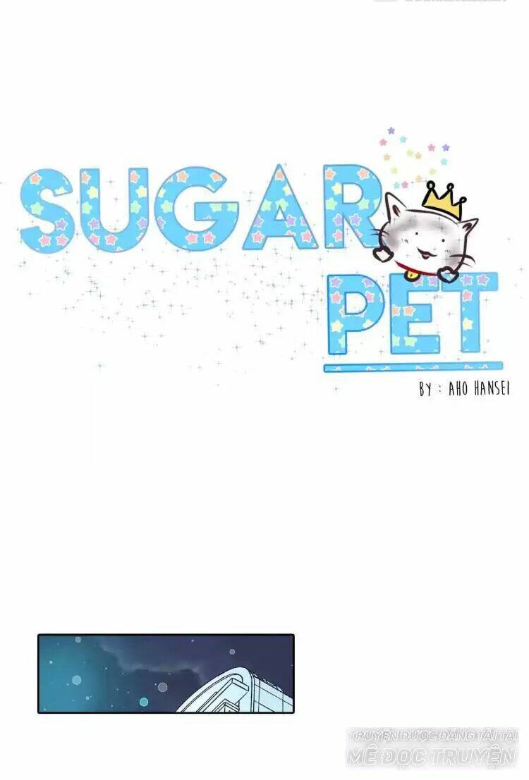 Sugar Pet Chương 17 Ảnh 2