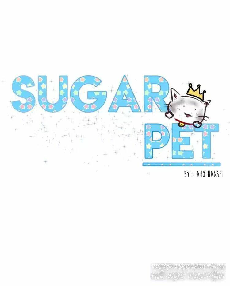 Sugar Pet Chương 14 Ảnh 2