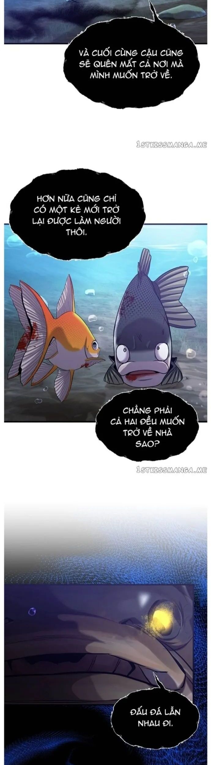 Hoá Thân Thành Cá Chương 53 Ảnh 32