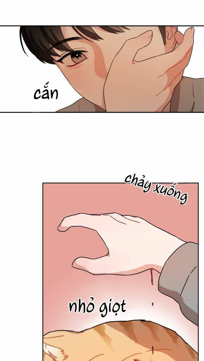 Bloody Romance - Lãng Mạn Đẫm Máu Chương 8 Ảnh 14