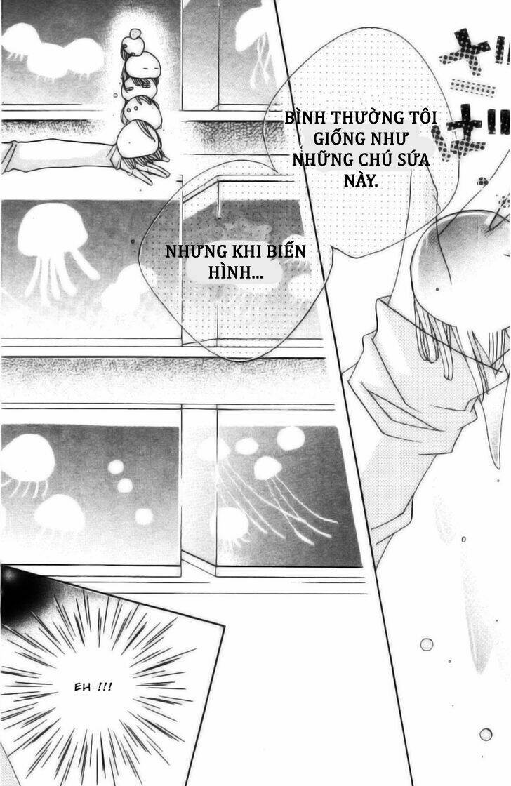 1-Nen 5-Kumi Ikimono Gakari Chương 3 Ảnh 14