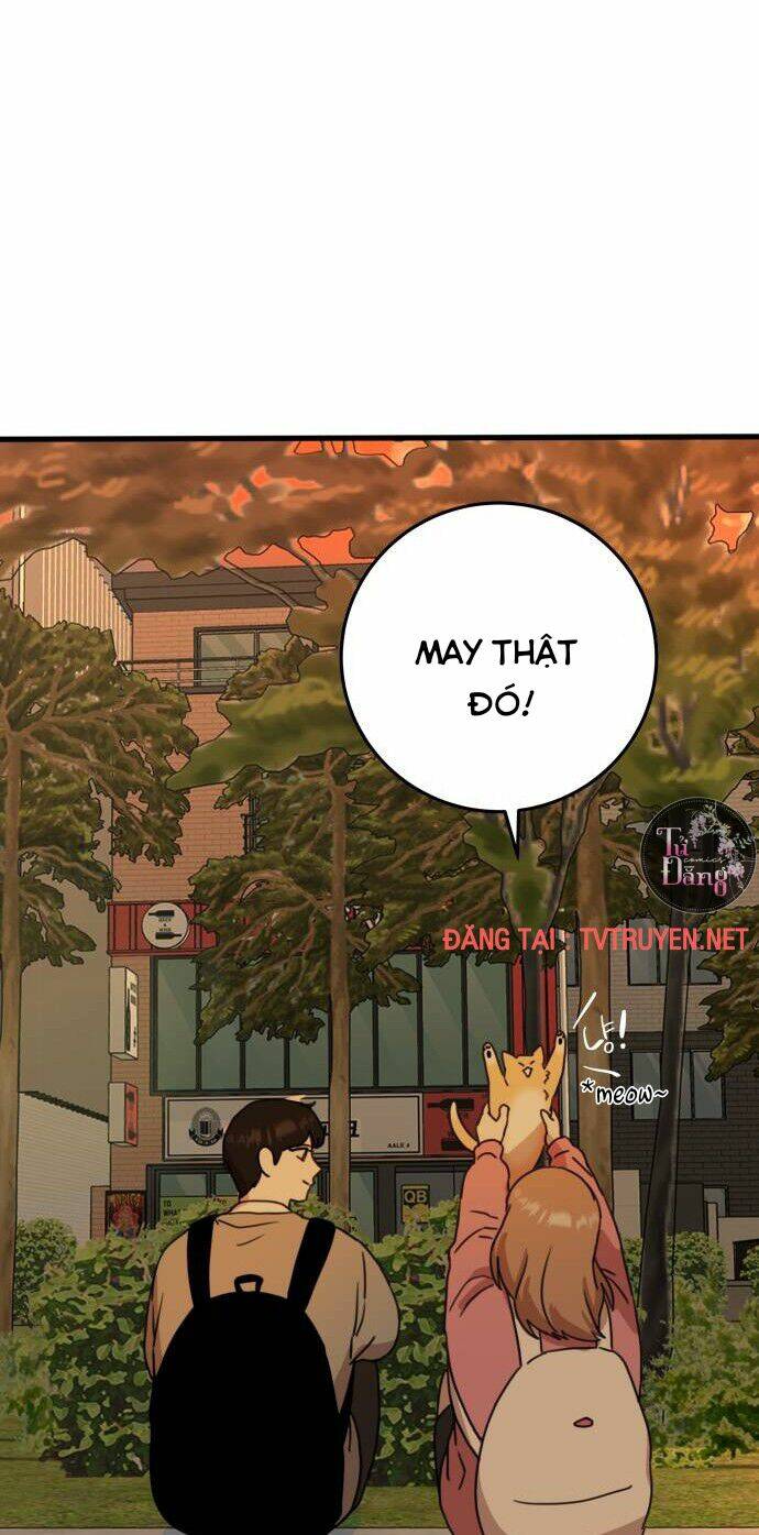 Bloody Romance - Lãng Mạn Đẫm Máu Chương 8 Ảnh 20