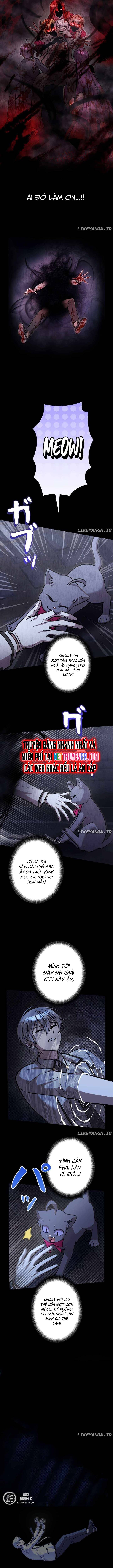 Ta Là Anh Hùng Nhưng Các Nữ Chính Lại Muốn Giết Ta Chương 15 Ảnh 6