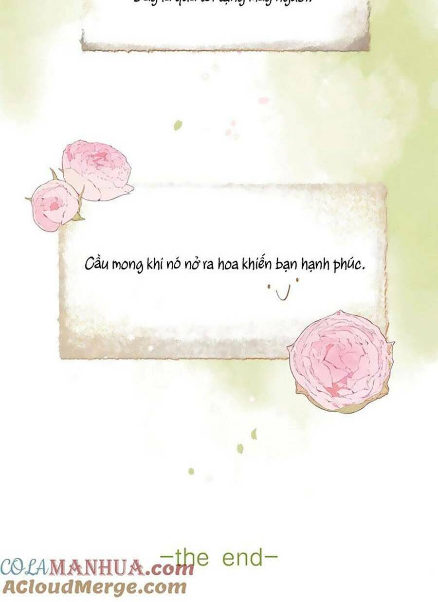 Tiệm Hoa Hướng Dương Góc Phố Chương 80 Ảnh 42