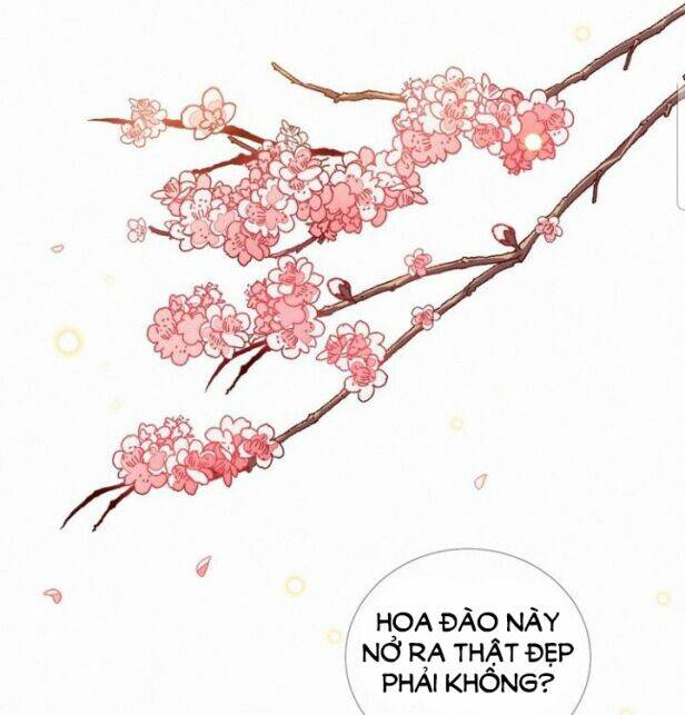 Thừa Tướng, Trẫm Biết Sai Rồi! Chương 9 Ảnh 31