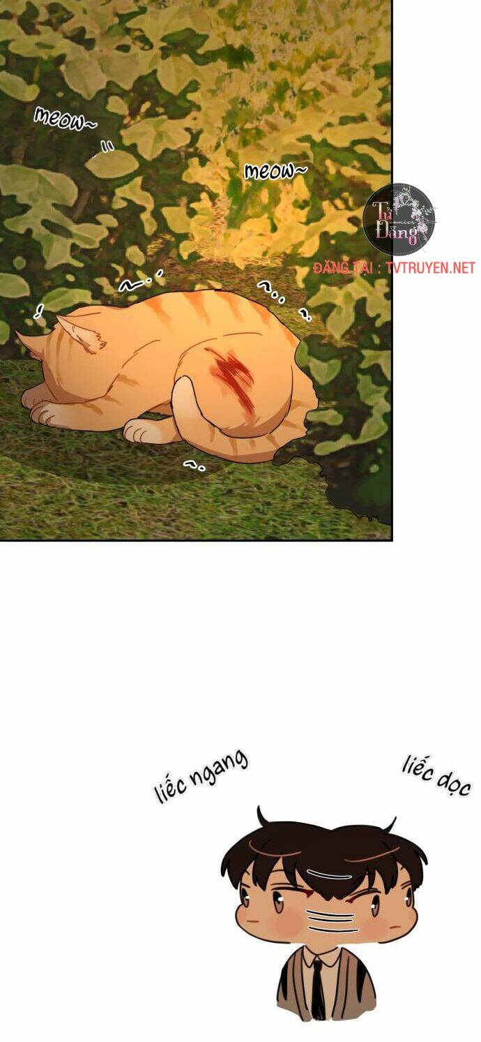 Bloody Romance - Lãng Mạn Đẫm Máu Chương 8 Ảnh 13