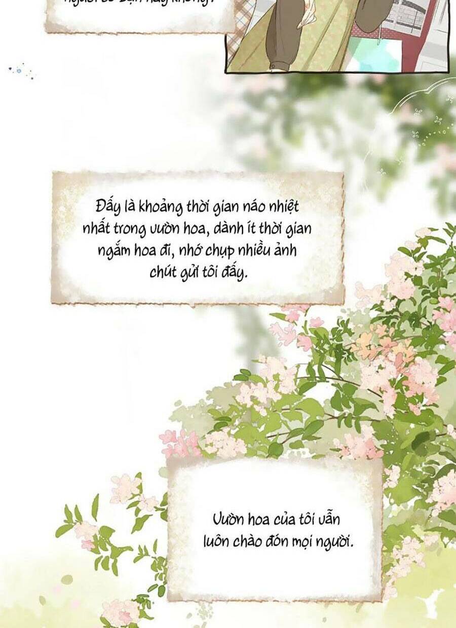 Tiệm Hoa Hướng Dương Góc Phố Chương 80 Ảnh 38