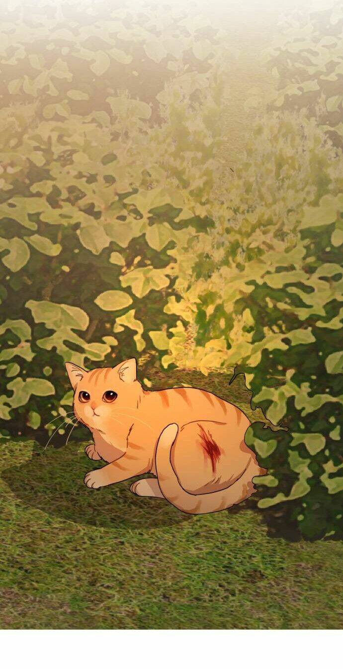 Bloody Romance - Lãng Mạn Đẫm Máu Chương 8 Ảnh 9