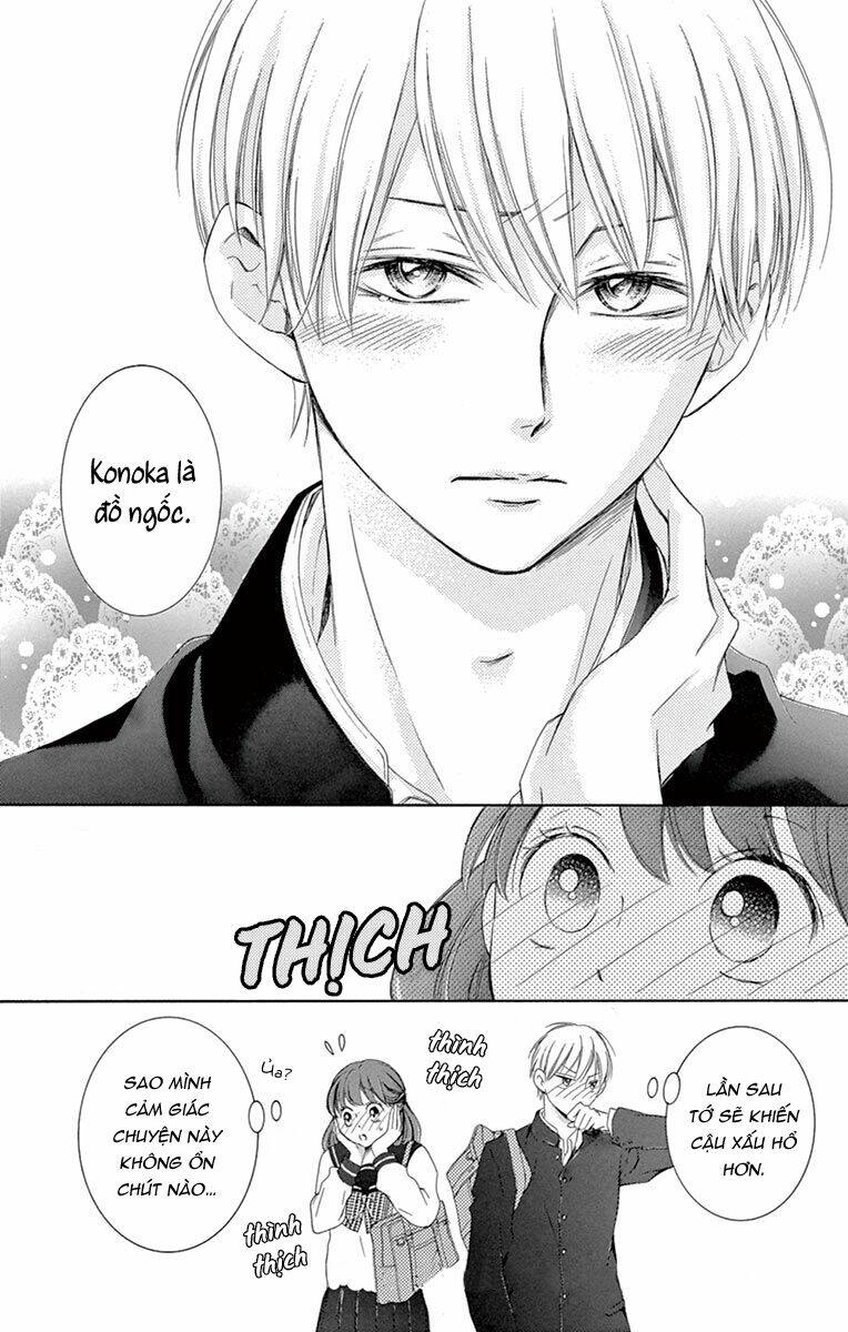 Watashi Wa Tensai O Katte Iru Chương 12.5 Ảnh 12