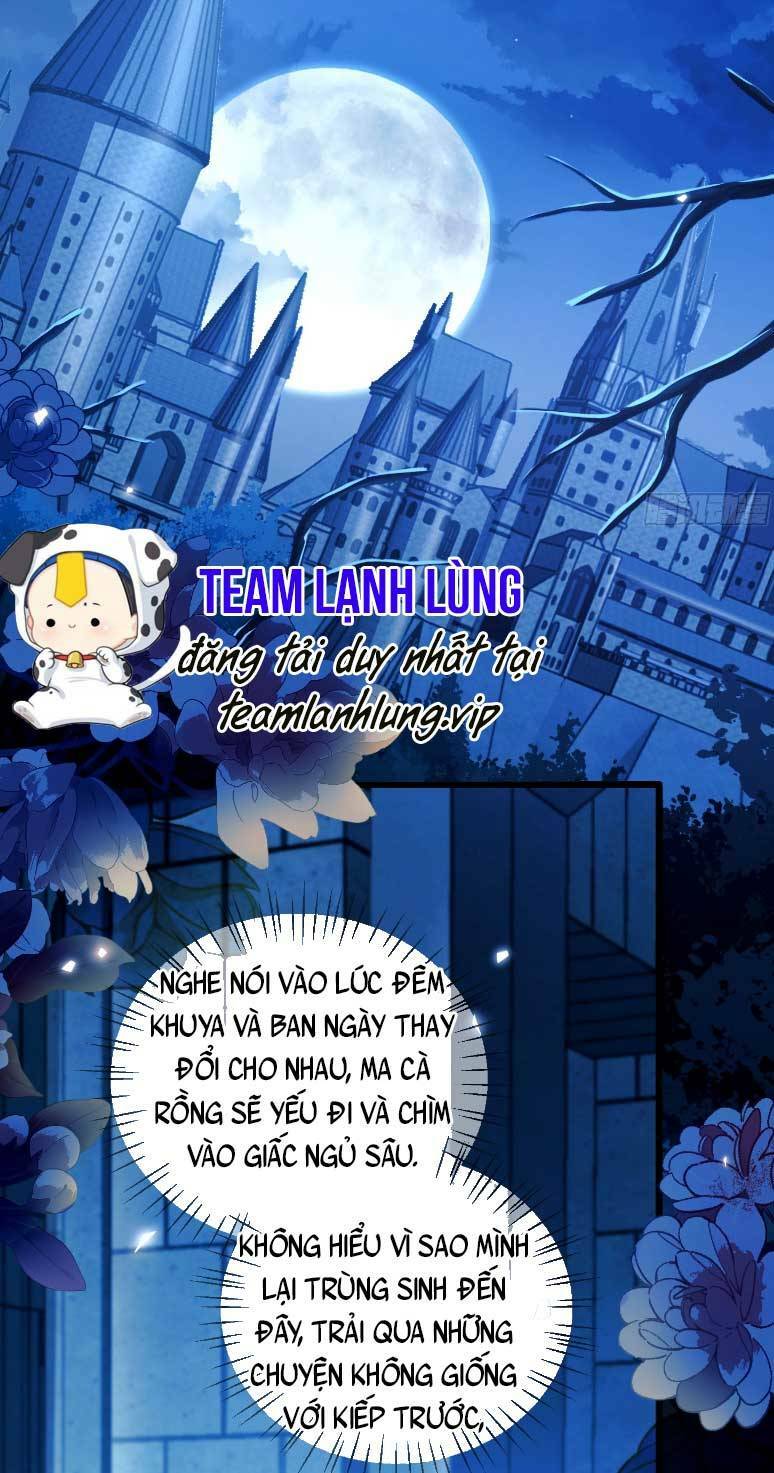 Ta Trở Thành Đồ Chơi Nguy Hiểm Của Vương Gia Chương 5 Ảnh 18