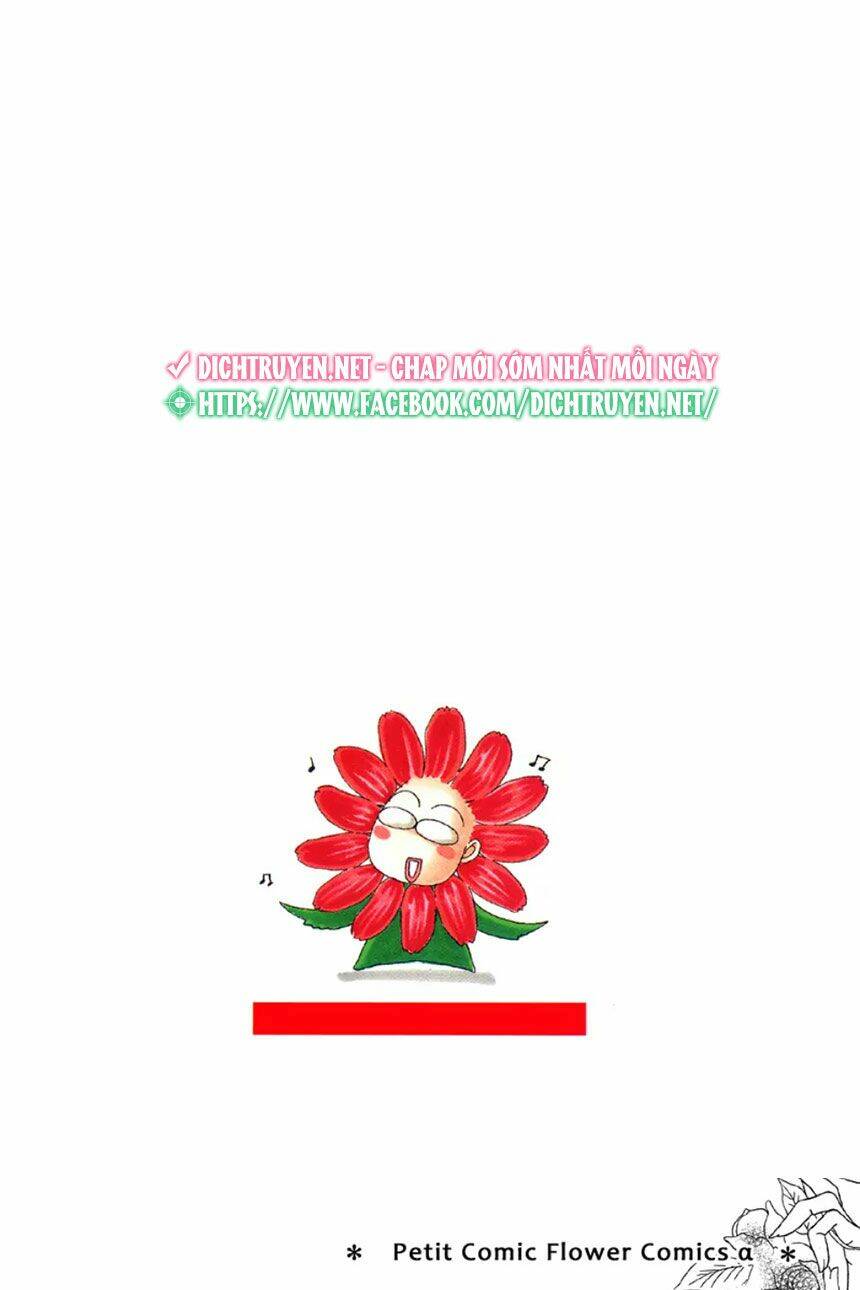 Đóa Hồng Dành Tặng Seri Chương 11 Ảnh 4
