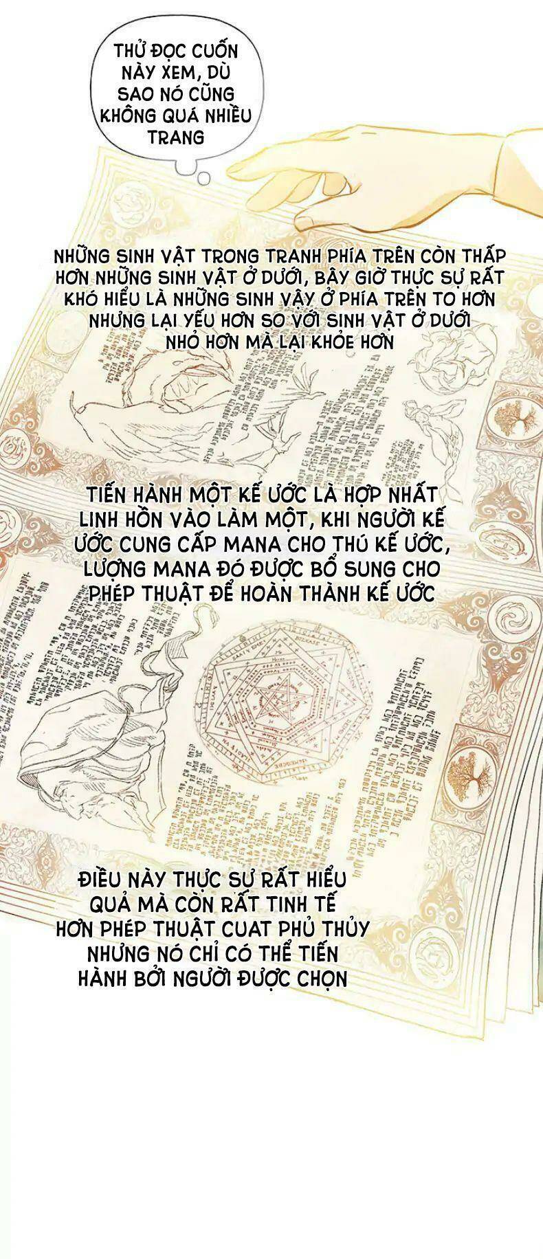 Phù Thủy Tóc Vàng Chương 3 Ảnh 11