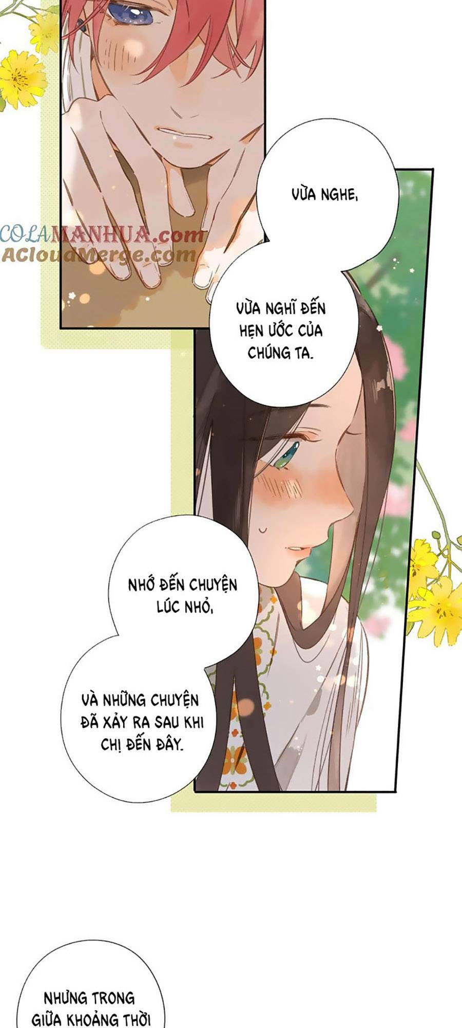 Tiệm Hoa Hướng Dương Góc Phố Chương 79 Ảnh 40