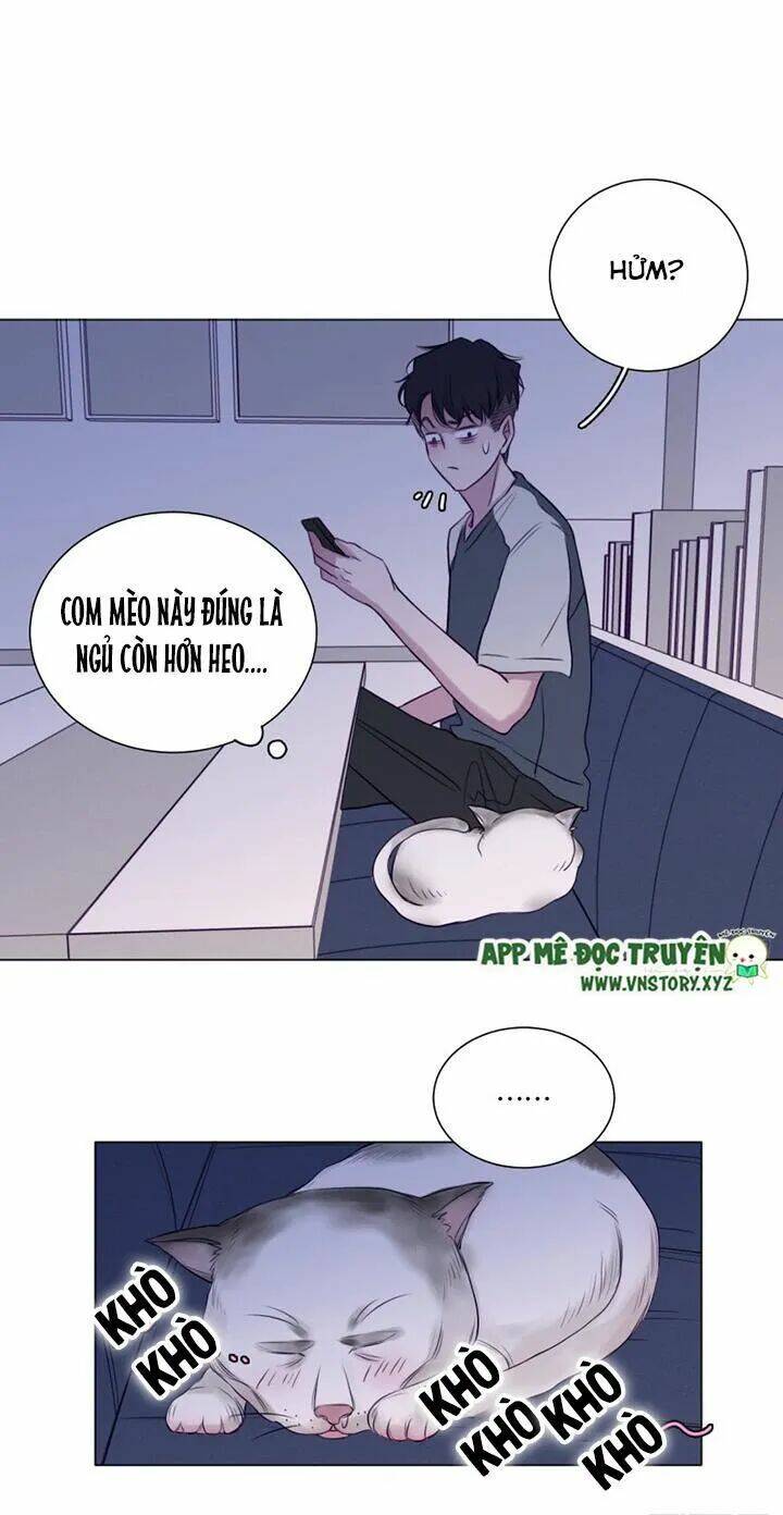 Chuyên Tình Yêu Của Ông Chú Cool Ngầu Chương 58 Ảnh 17