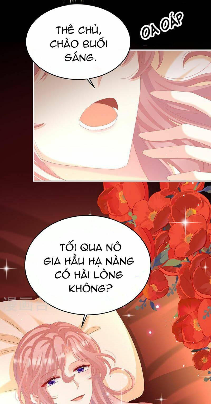 Kiều Phu Có Hỉ Chương 67 Ảnh 36