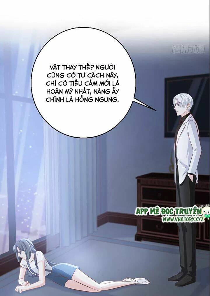 Cẩm Lý Thiếu Nữ Của Tôi Chương 102 Ảnh 11