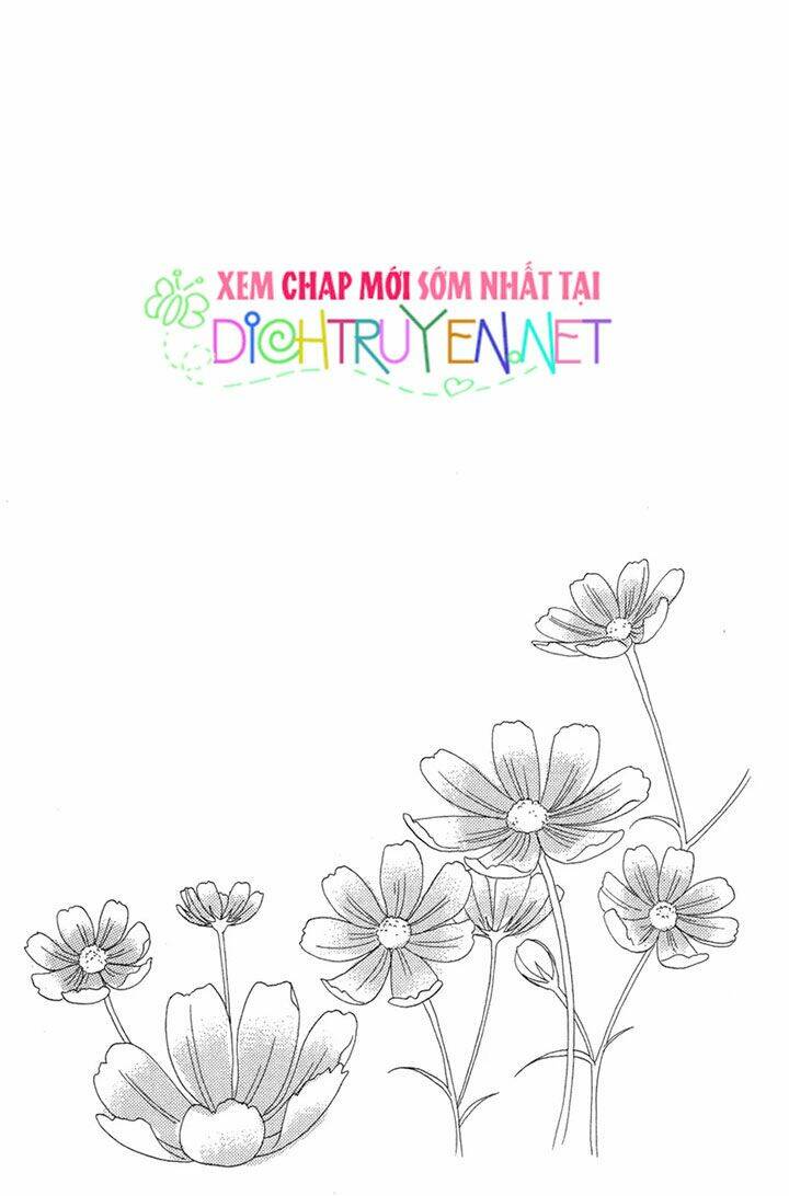 Đóa Hồng Dành Tặng Seri Chương 10 Ảnh 36