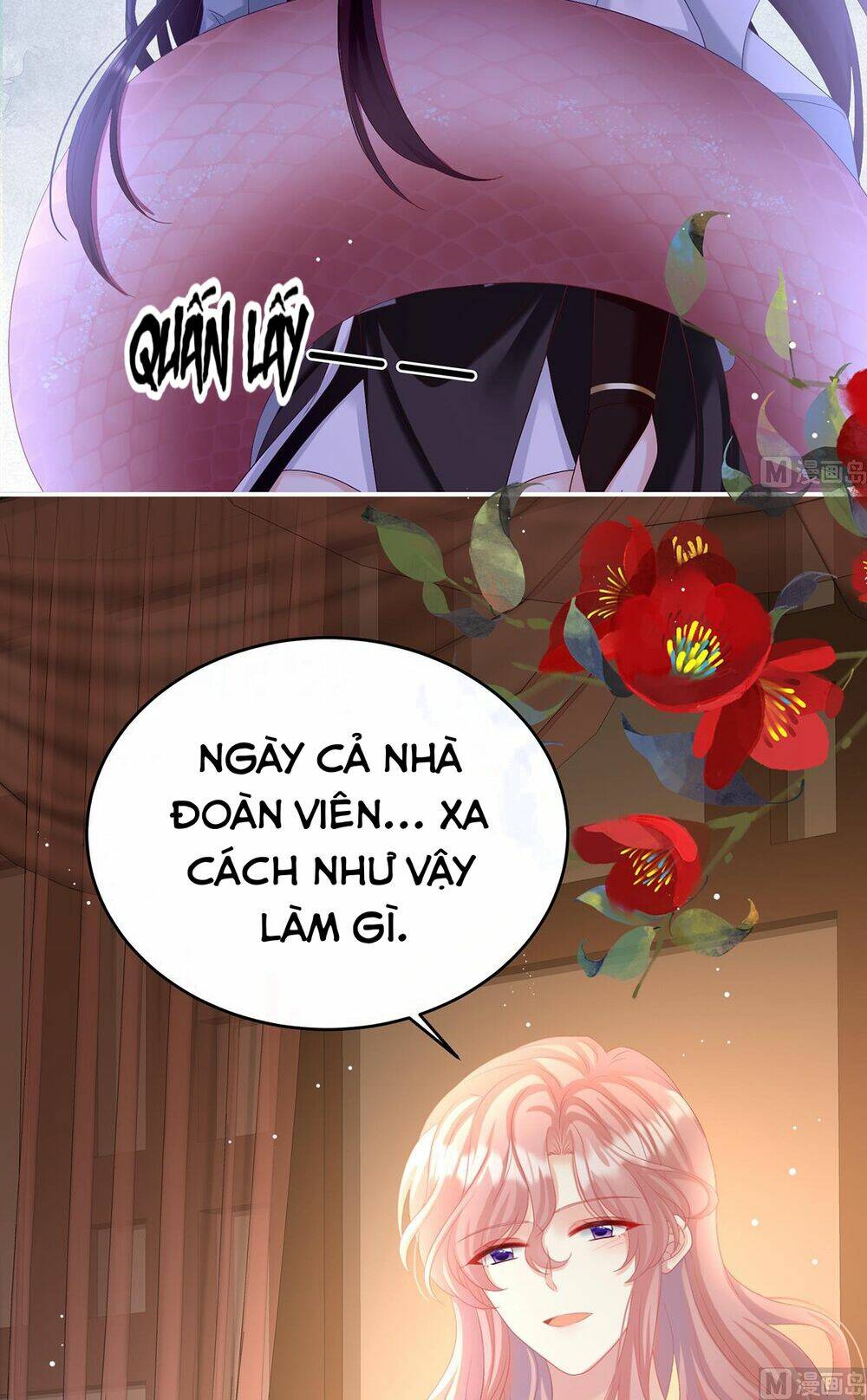 Kiều Phu Có Hỉ Chương 65 Ảnh 45
