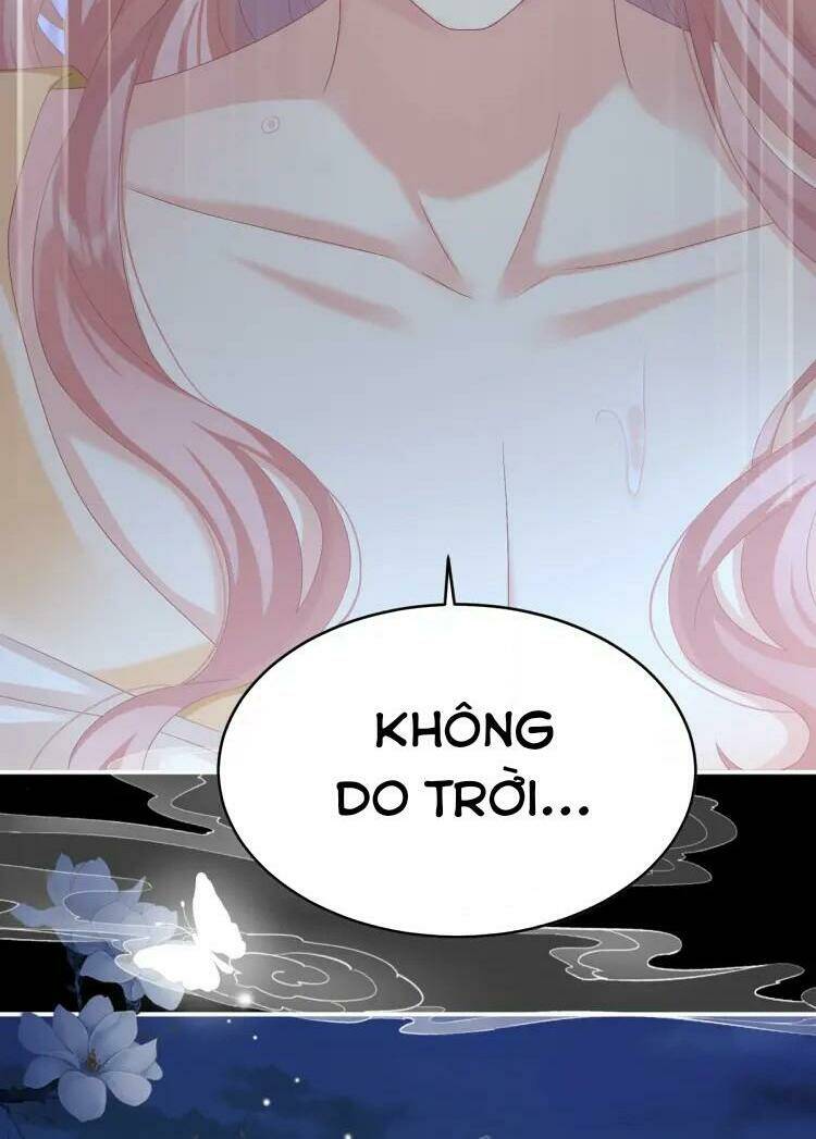 Kiều Phu Có Hỉ Chương 58 Ảnh 14