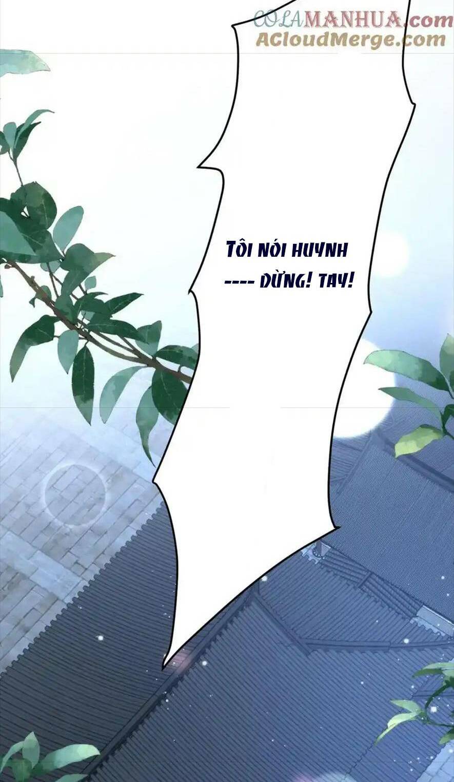 Hồ Ly Cáo Già Và Bạch Liên Hoa Cao Lãnh , Ai Sẽ Lộ Tẩy Trước Đây? Chương 36 Ảnh 40