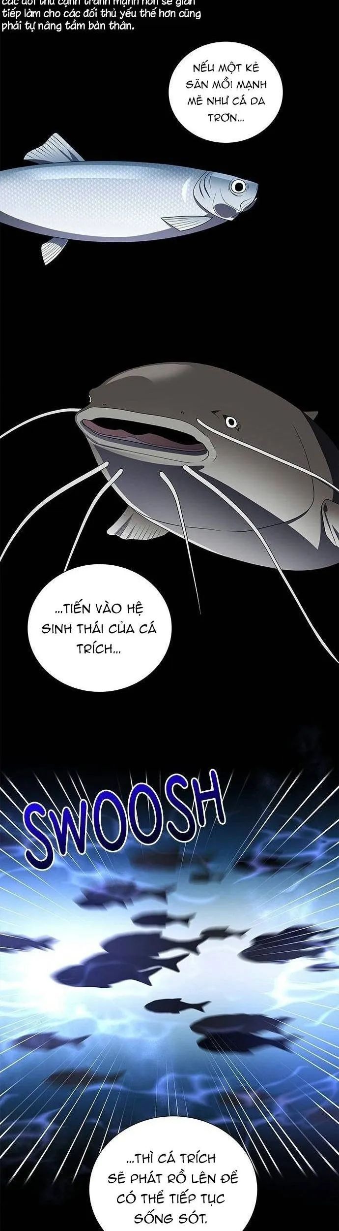 No Scope Chương 189 Ảnh 4