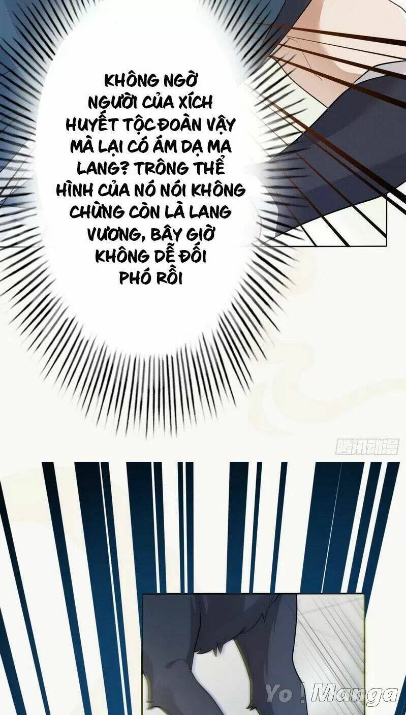 Tuyệt Thế Luyện Đan Sư Chương 153 Ảnh 27