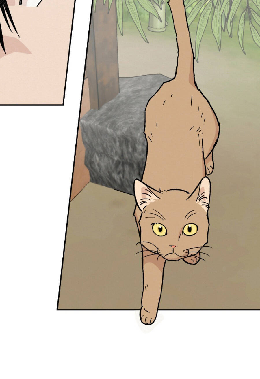 Scandal Đại Công Chúa Chương 16 Ảnh 63