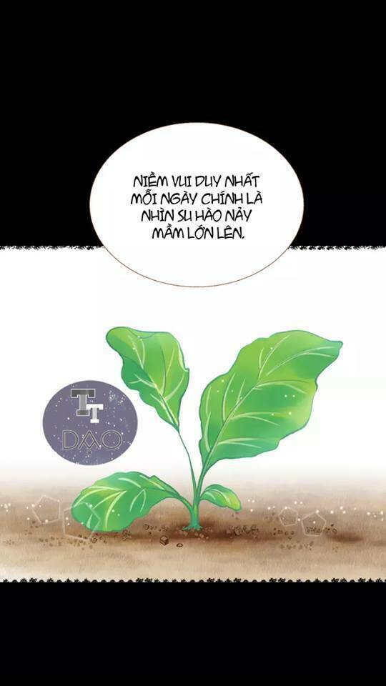 Tân Lang Yếu Tòng Tiểu Dưỡng Khởi Chương 13 Ảnh 19