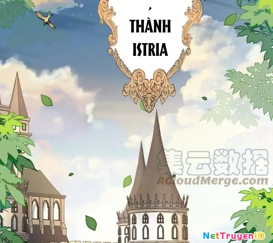 Sức Mạnh Của Kiếm Thần Chương 72 Ảnh 65