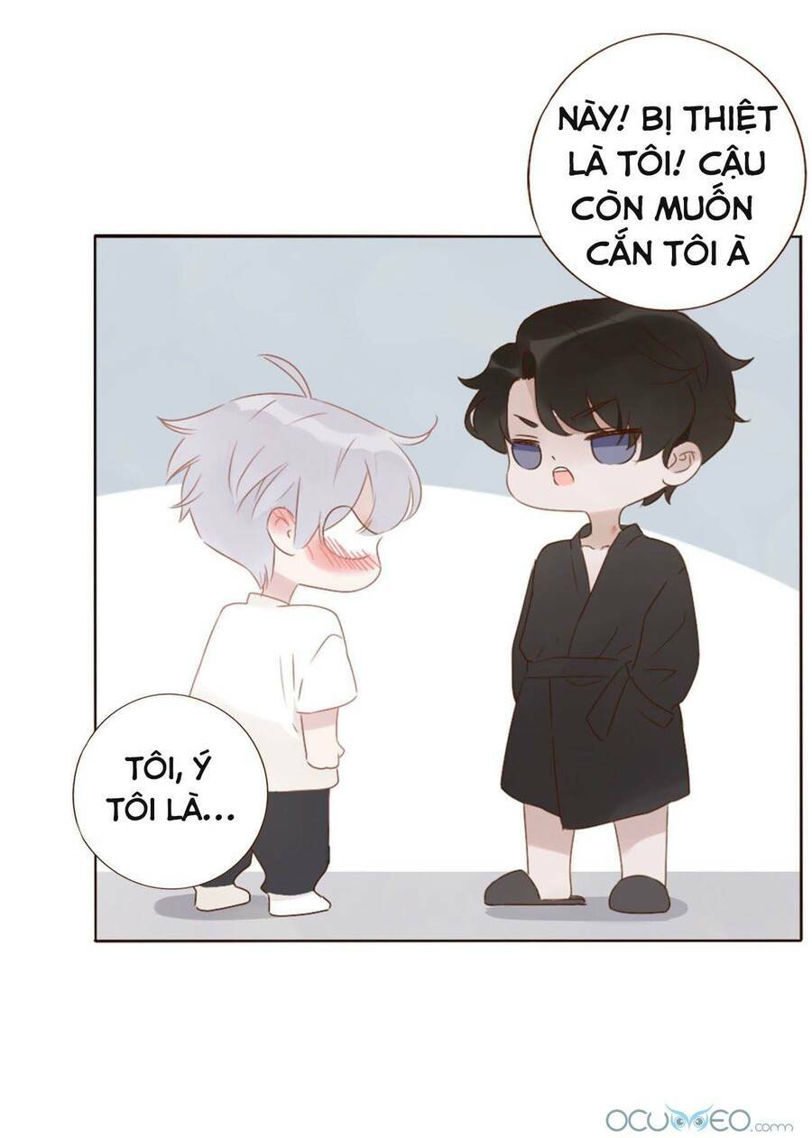 Ôm Hôn Mạc Nhiên Chương 17 Ảnh 14