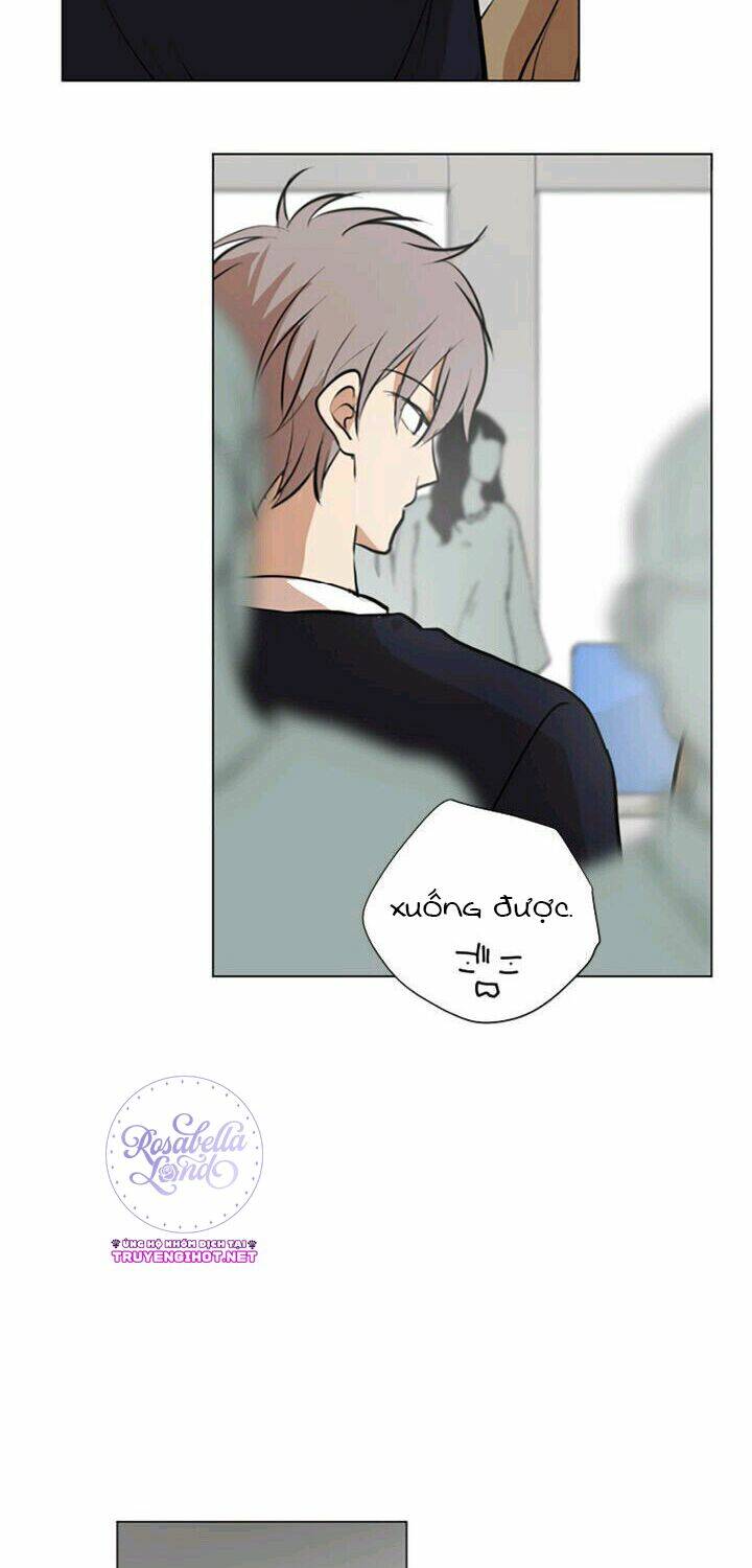 Tình Yêu Tuổi Trẻ Chương 38 Ảnh 34