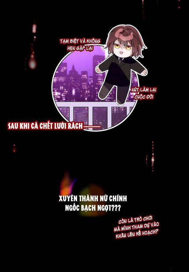 Công Chúa Phản Diện Chương 1 Ảnh 22