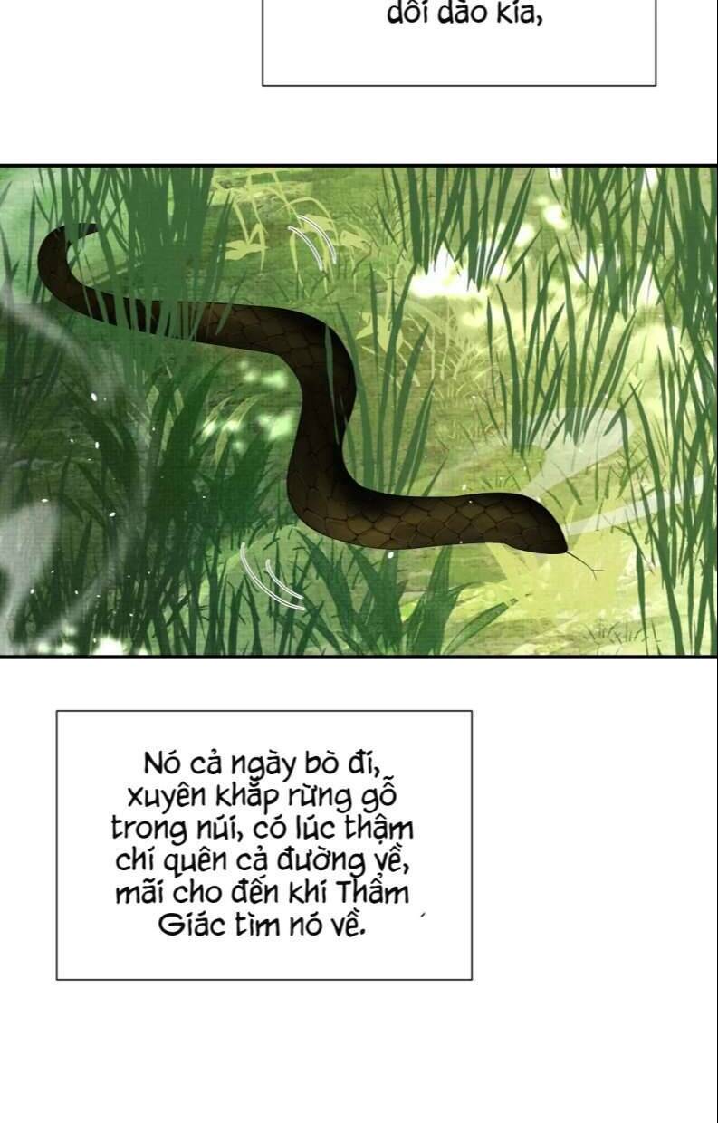Ngộ Xà Chương 92 Ảnh 23