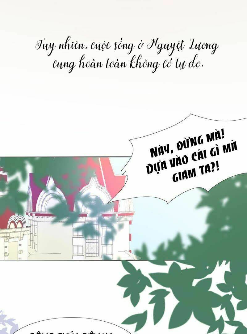 Quốc Vương Cứ Muốn Lấy Mạng Tôi Chương 5 Ảnh 20