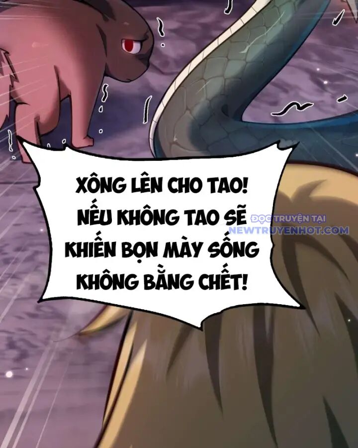Ngự Thú: Ta Có Thế Thấy Toàn Bộ Chi Tiết Tiến Hóa Chương 6 Ảnh 47
