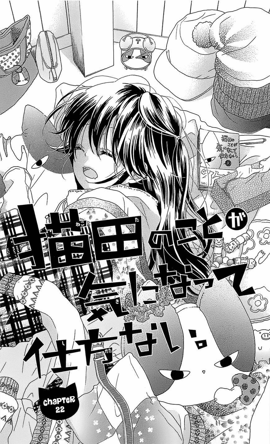 Nekota No Koto Ga Ki Ni Natte Shikatanai Chương 22 Ảnh 6