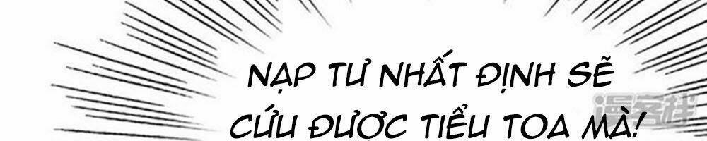 Cướp Đi Nụ Hôn Của Người Chương 49 Ảnh 12