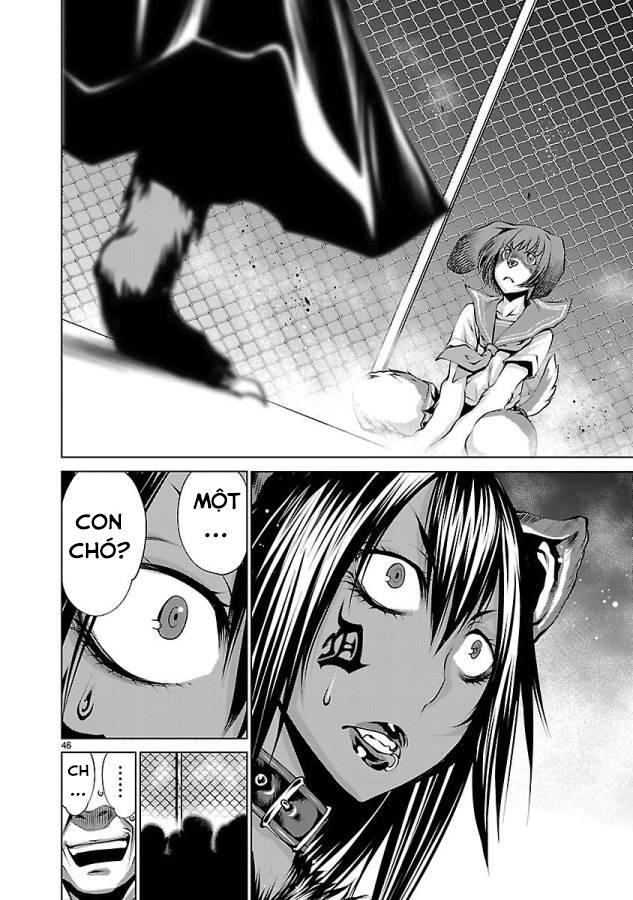 Killing Bites Chương 31 Ảnh 52