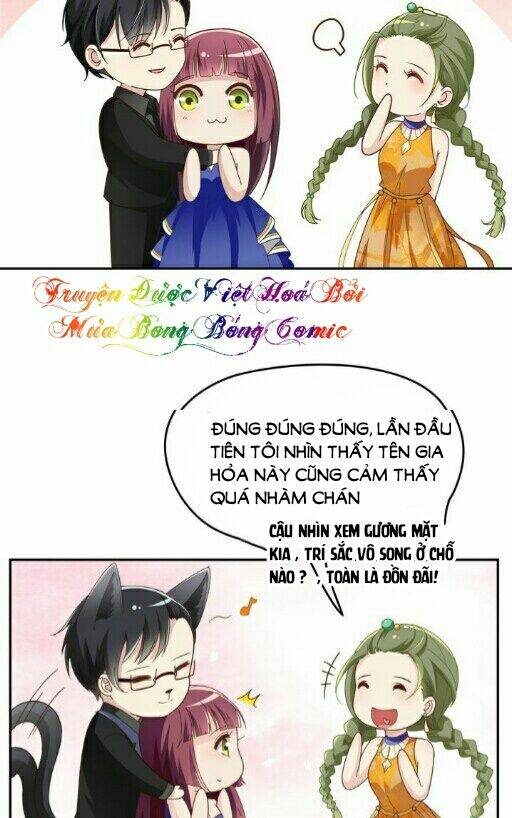 Song Diện Tổng Tài Sủng Thê Chỉ Nam Chương 4 Ảnh 12