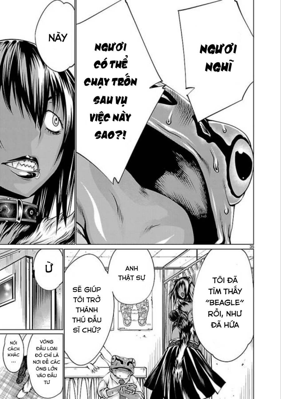 Killing Bites Chương 33 Ảnh 41