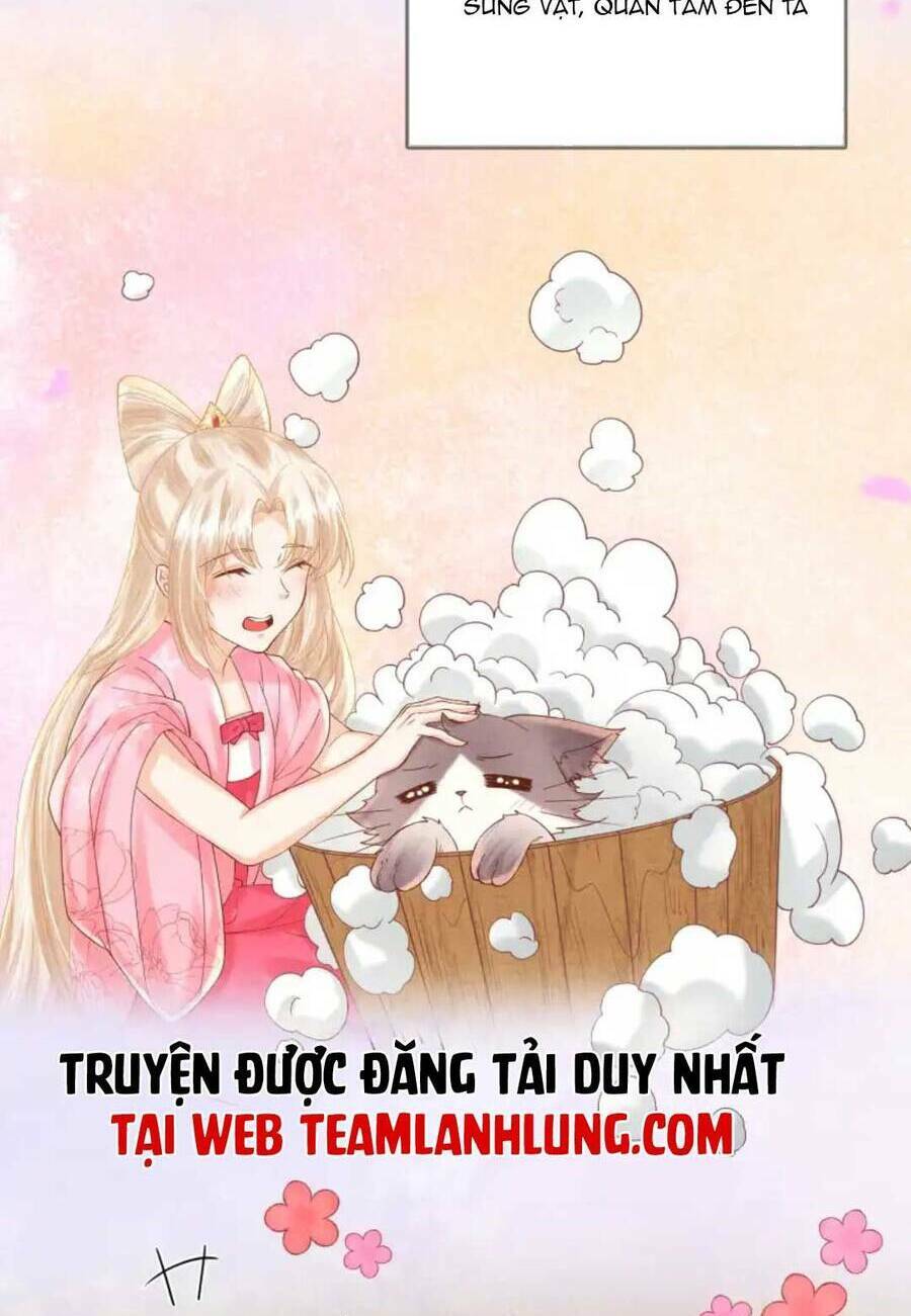 Các Đệ Tử Ai Cũng Nói Yêu Ta Chương 21 Ảnh 25
