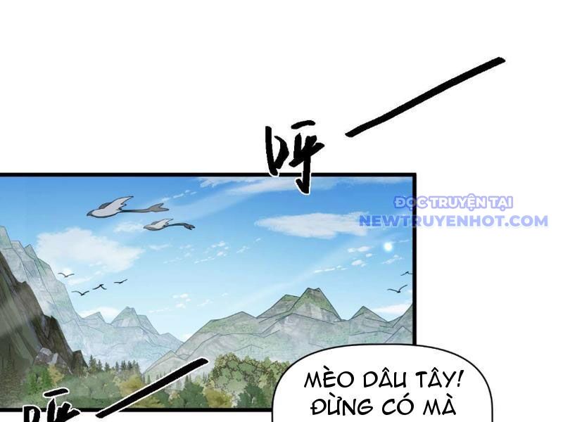 Ngự Thú: Ta Có Thế Thấy Toàn Bộ Chi Tiết Tiến Hóa Chương 3 Ảnh 75