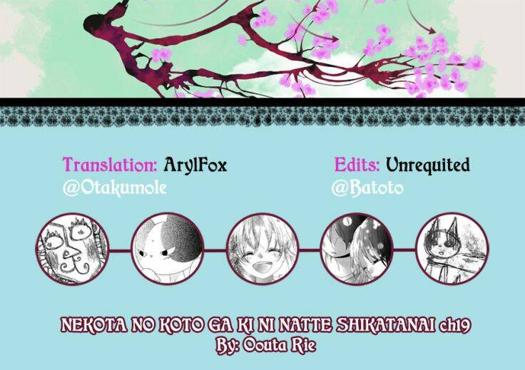 Nekota No Koto Ga Ki Ni Natte Shikatanai Chương 19 Ảnh 4