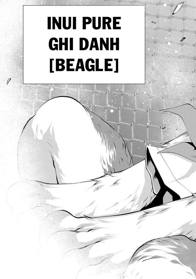 Killing Bites Chương 31 Ảnh 49
