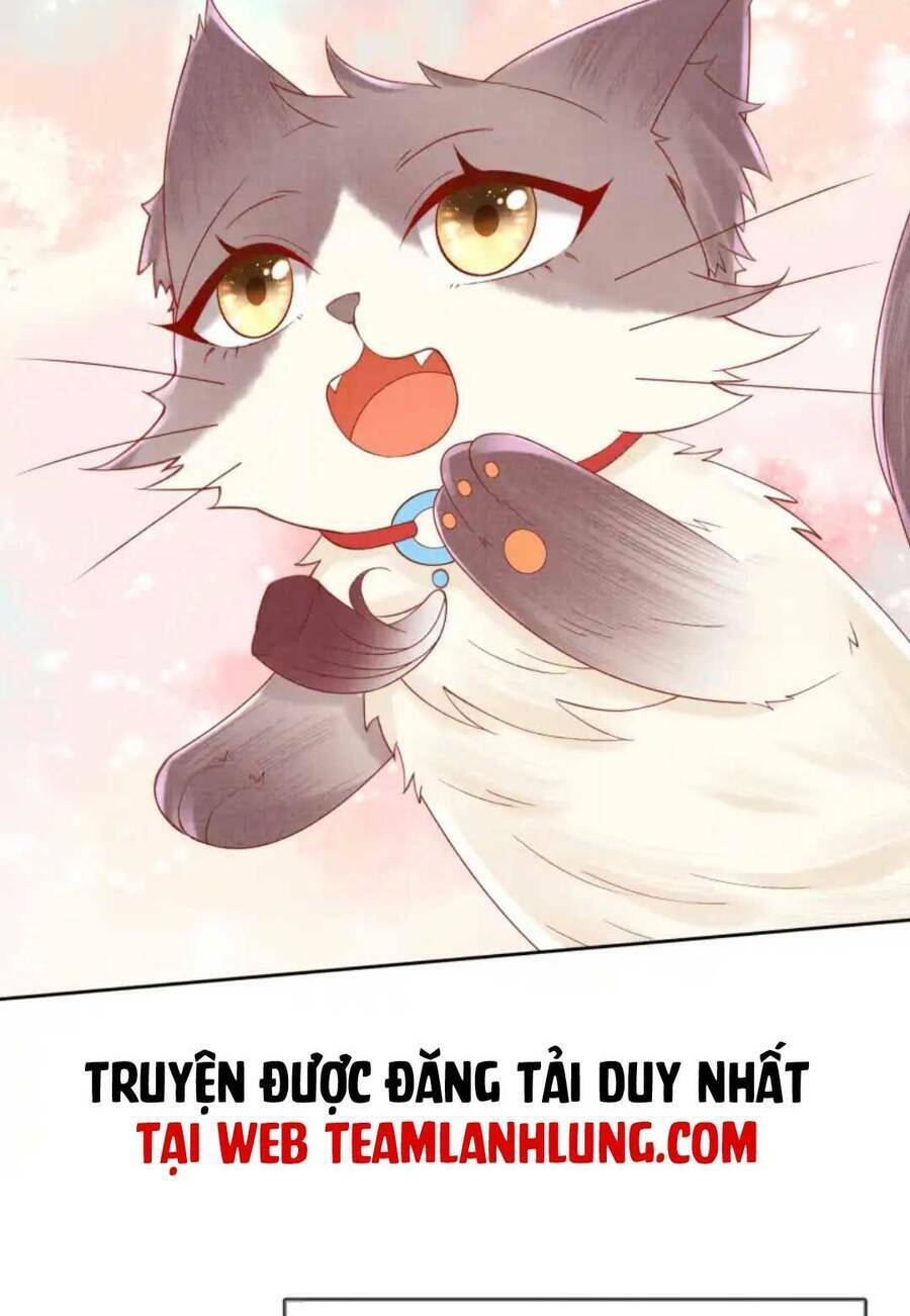 Các Đệ Tử Ai Cũng Nói Yêu Ta Chương 21 Ảnh 11