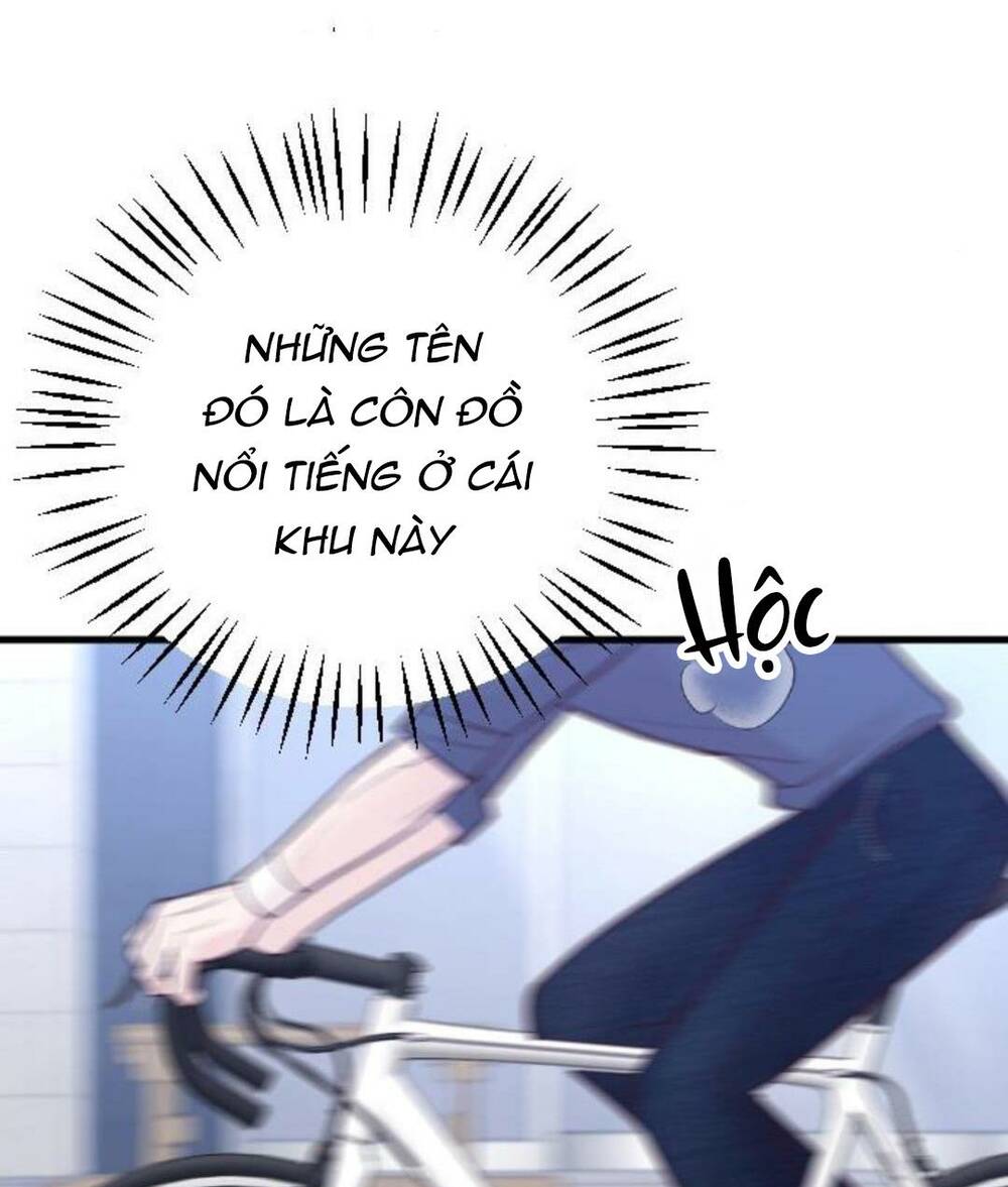 Tình Cờ Ta Gặp Nhau Chương 18 Ảnh 46