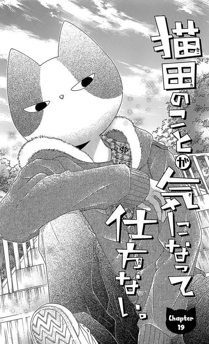 Nekota No Koto Ga Ki Ni Natte Shikatanai Chương 19 Ảnh 5