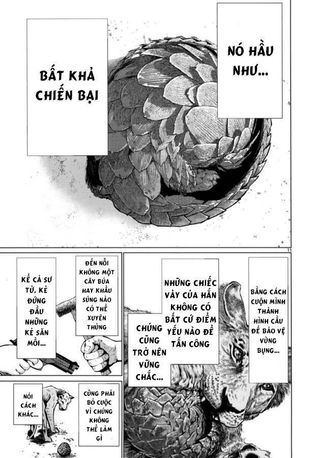 Killing Bites Chương 24 Ảnh 16